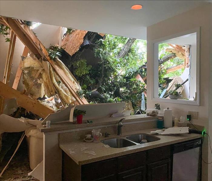 Tree branch fell through the roof of a house